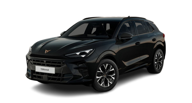 7-CUPRA TERRAMAR
