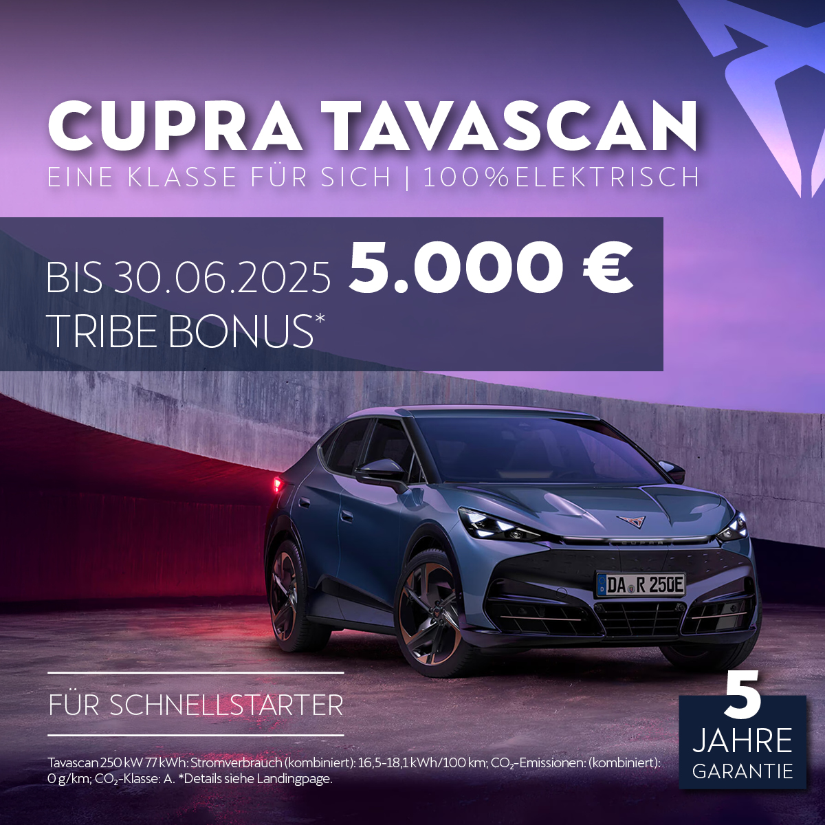 Beitragsbild CUPRA Tavascan TRIBE Bonus